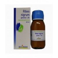 RIBES NI. GE. MG 60ML BOI