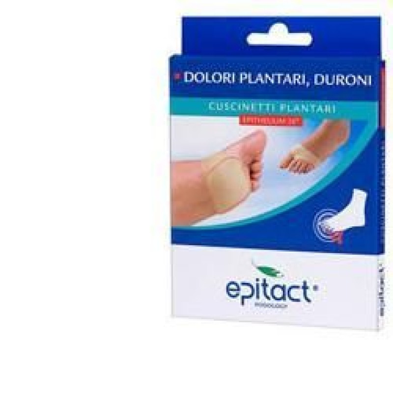 EPITACT CUSCINETTO PLANT M EPITACT CUSCINETTO PLANT M