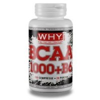 WHY SPORT BCAA +B6 100CPS