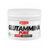 WHY SPORT L-GLUTAMMINA250G