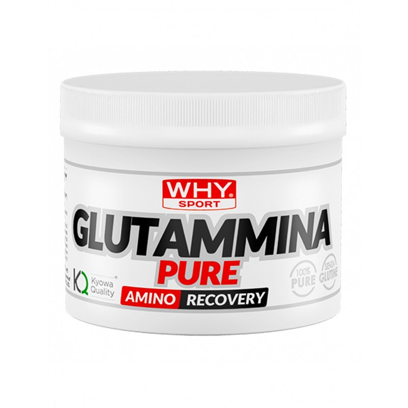 WHY SPORT L-GLUTAMMINA250G