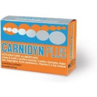 CARNIDYN PLUS INT 20BS 5G