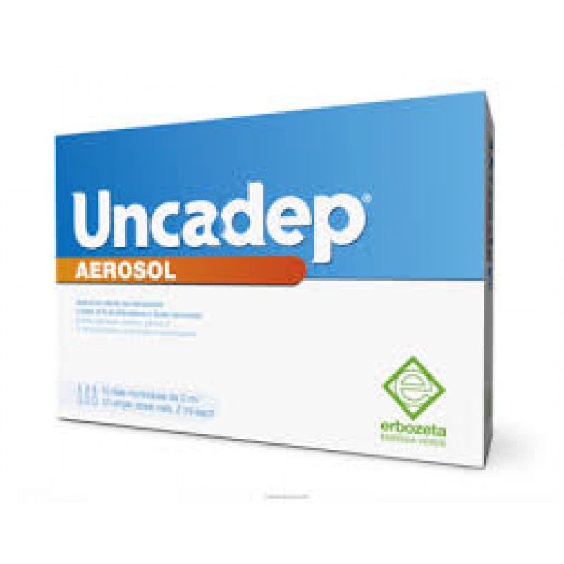 UNCADEP AEROSOL 10FIALE2ML